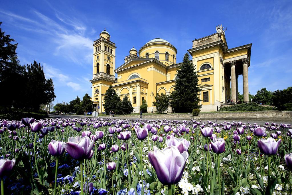 Nemes Apartman Eger Kamer foto
